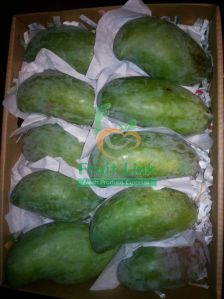 Egyptian Mango