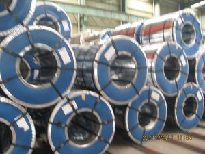 Hot Dipped Galvanized Steel