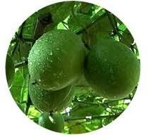 Luo Han Guo Extract Powder