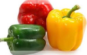 capsicum