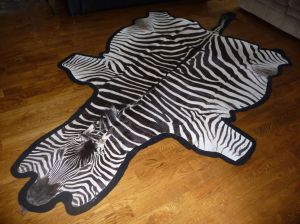 Real Natural Zebra Hides