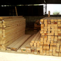 Pine Sawn Timber