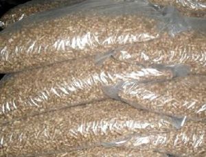 Corrugated Packaging Boxes & Cartons