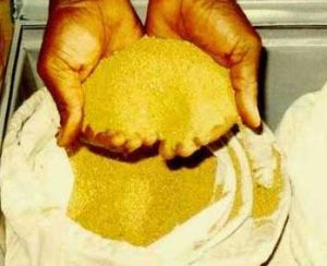 gold dust