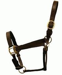 Horse Halters