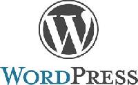 wordpress customization services