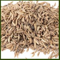 Cumin Seed Oil