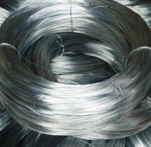 Galvanized Iron Wire