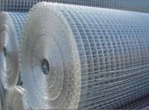 Welded Wire Mesh
