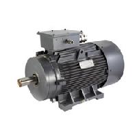 Inverter Duty Motor