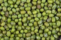 green mung beans
