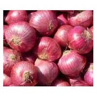 Indian Fresh Onions