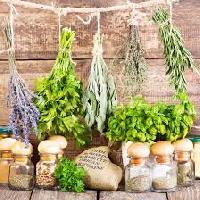 herbs remedies
