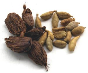 cardamom