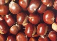 Chestnuts