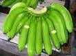 Premium Fresh Green Cameroun Cavendish Bananas