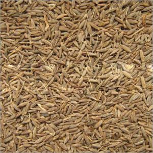 cumin seeds