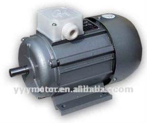 Yy Series Single Phase AC Induction Motor