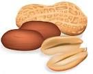 Peanut Meal, Peanut Oil, Peanut Shell, Peanut  Seed