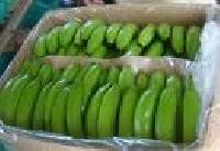 fresh green banana