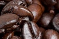 Robusta Coffee, Arabica Coffee For Cheap Prices