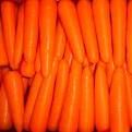 fresh carrot,  Storage Condition : Natural