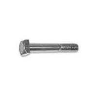 Stainless Steel Square Bolt