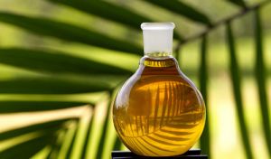 palm oil Form : Oil-soluble Flavor