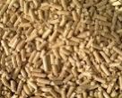 Energy Wood Pellet Energy Wood Pellet