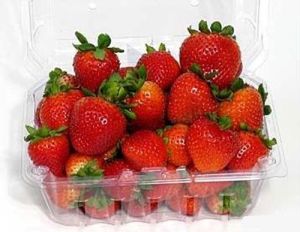 Strawberry Packaging Boxes