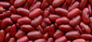 dark red kidney beans