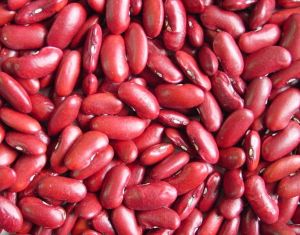 red kidney beans