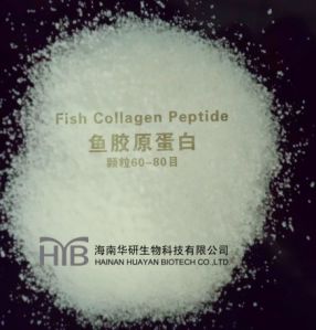 Health Food Collagen Peptide Granule - (60-80)
