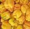 Fresh Yellow Pepper