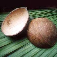 Coconut Oval Shell Ice Cream Cup