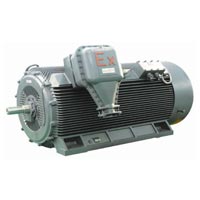 YB2 Series High Voltage Asynchronous Motor (YB2-6)