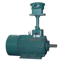 YBF2 Series Explosion Proof Asynchronous Motor (YBF2-2)