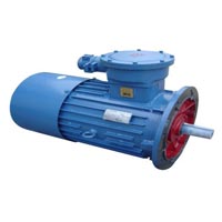 YBS Series Explosion Proof Asynchronous Motor (YBS-2)