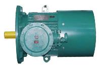 Ybs Series Explosion Proof Asynchronous Motor