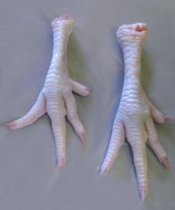 Chicken Feet , Chicken Paw , Halal Chicken