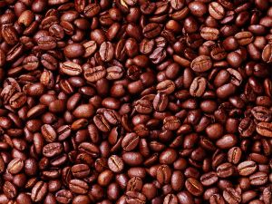 Fresh Coffee Beans, Coco Bean