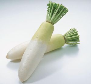 Fresh White Radish