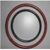 FEP Envelope Viton O Rings