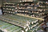 Bamboo Cut Sticks