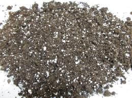 Fertilizers Used In Sod Farms