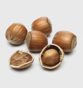 Cracked Hazelnut (Filbert)