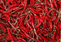 Guntur Sannam Red Chillies