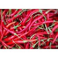 teja red chillies