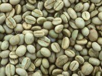 Vietnam Robusta Coffee Bean
