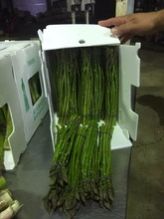 Fresh Green Asparagus